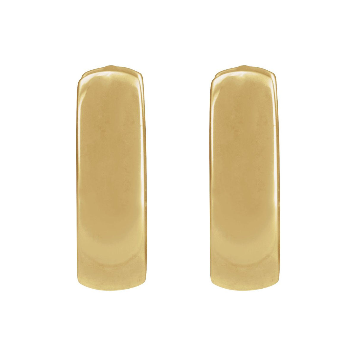 Hinged Hoop Earrings (20007)