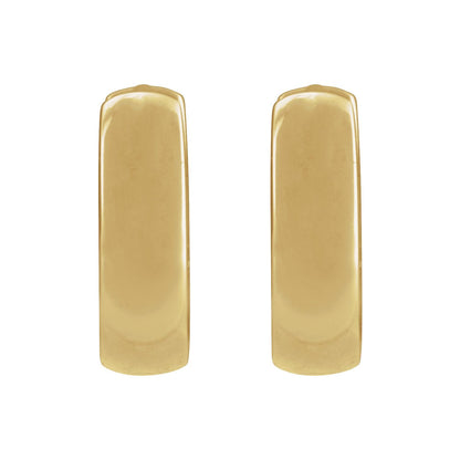 Hinged Hoop Earrings (20007)