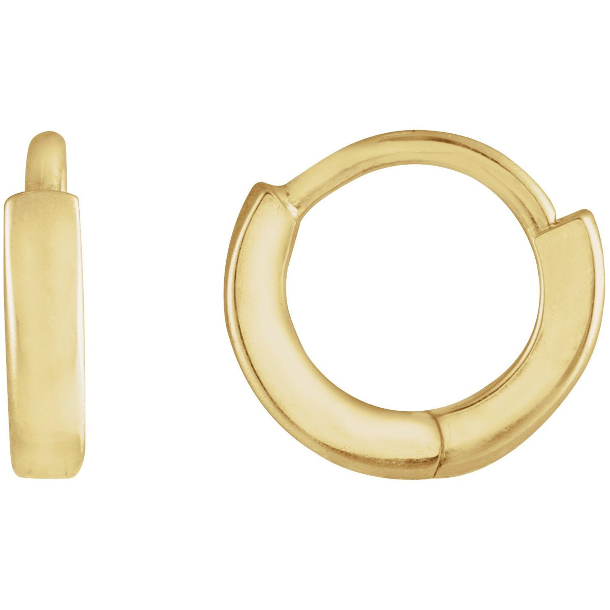 Hinged Hoop Earring (87384)
