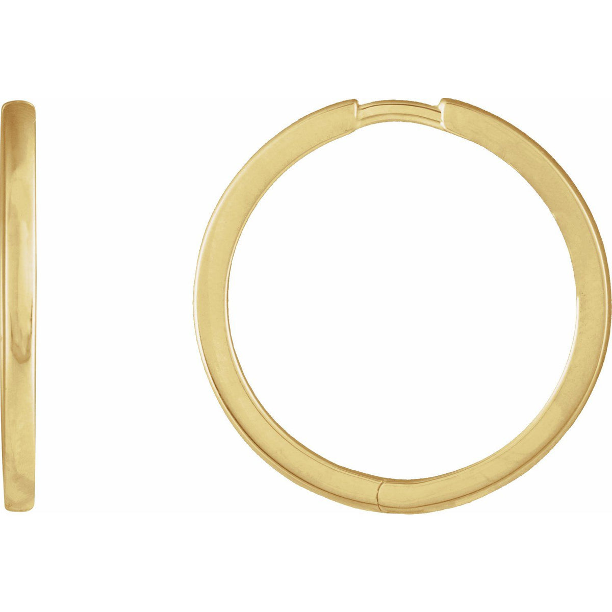 Hinged Hoop Earrings (87384)