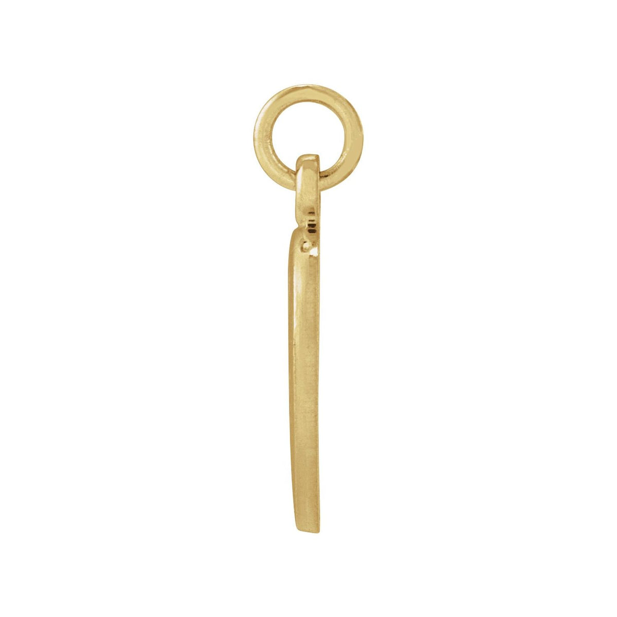 14K Yellow Gold 10.15x12 mm St. Francis of Assisi Medal