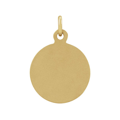 14K Yellow Gold 10.15x12 mm St. Francis of Assisi Medal