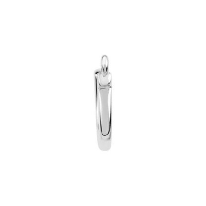 Horseshoe Dangle