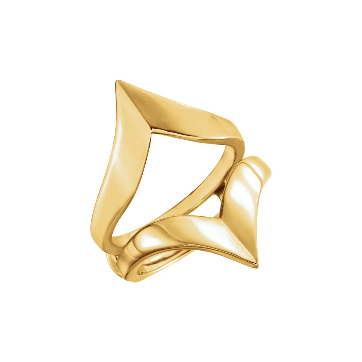 V Ring Guard