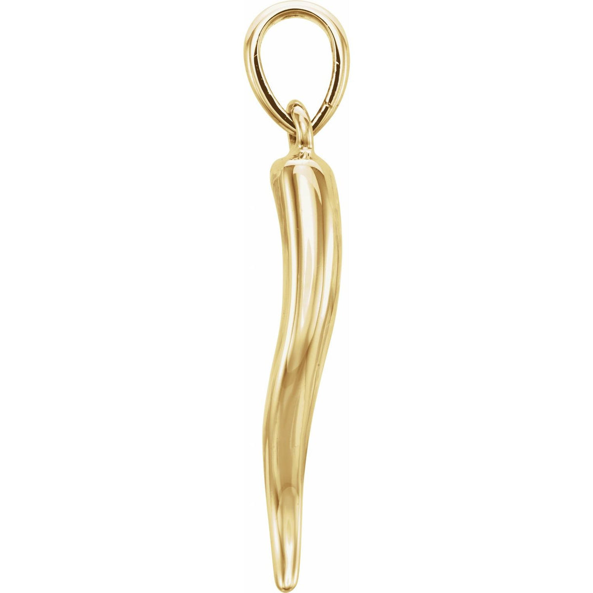Italian Horn Pendant