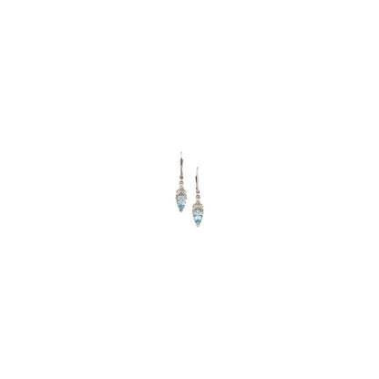 14K White Gold Natural Aquamarine & .04 CTW Natural Diamond Earrings