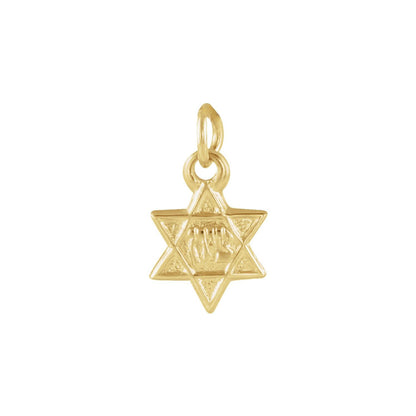 14K White Gold 7.5x7 mm Star of David Pendant