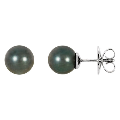 14K Palladium White Gold Cultured Gray Tahitian Pearl Earrings