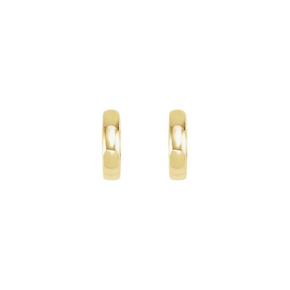Hinged Hoop Earrings (20007)