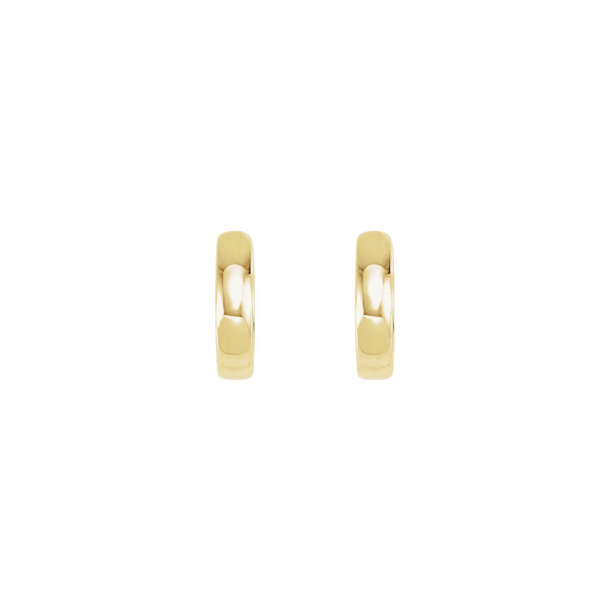 Hinged Hoop Earrings (20007)