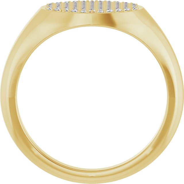 14K Yellow Gold 1/3 CTW Natural Diamond Signet Ring