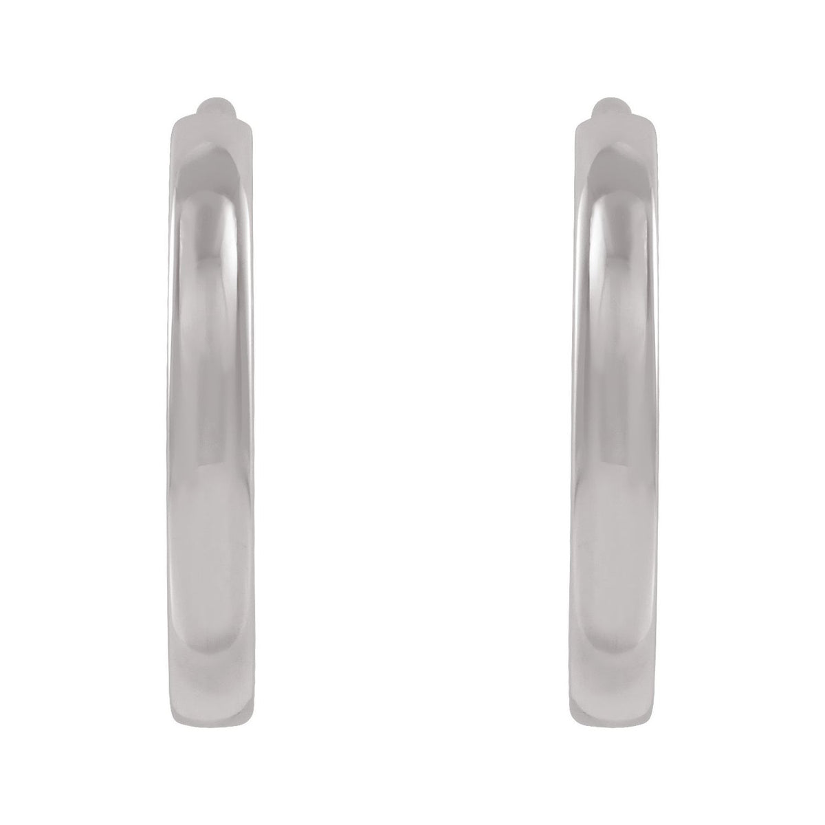 Hinged Hoop Earrings (87384)