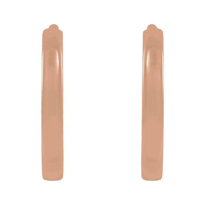 Hinged Hoop Earrings (87384)