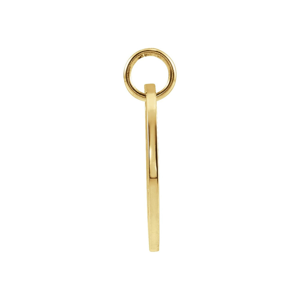 14K Yellow Gold Capricorn Zodiac Disc Charm/Pendant