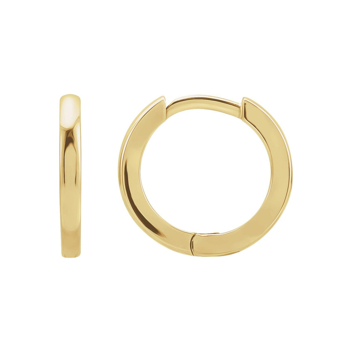 Hinged Hoop Earring (87384)