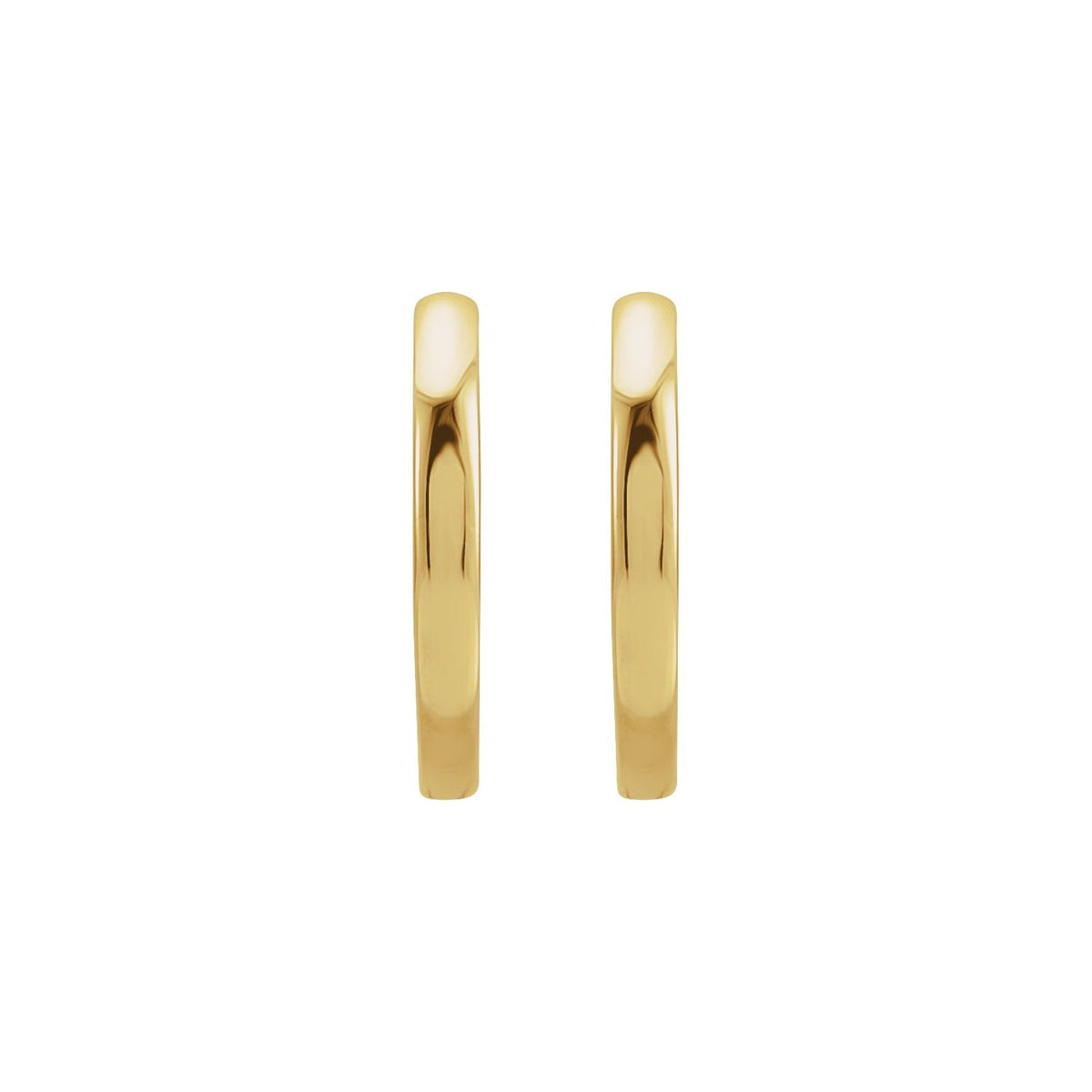 Hinged Hoop Earrings (87384)