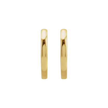 Hinged Hoop Earrings (87384)
