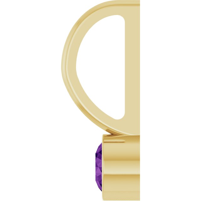 14K Yellow Gold Natural Amethyst Charm/Pendant, 11.05 x 3.78 mm