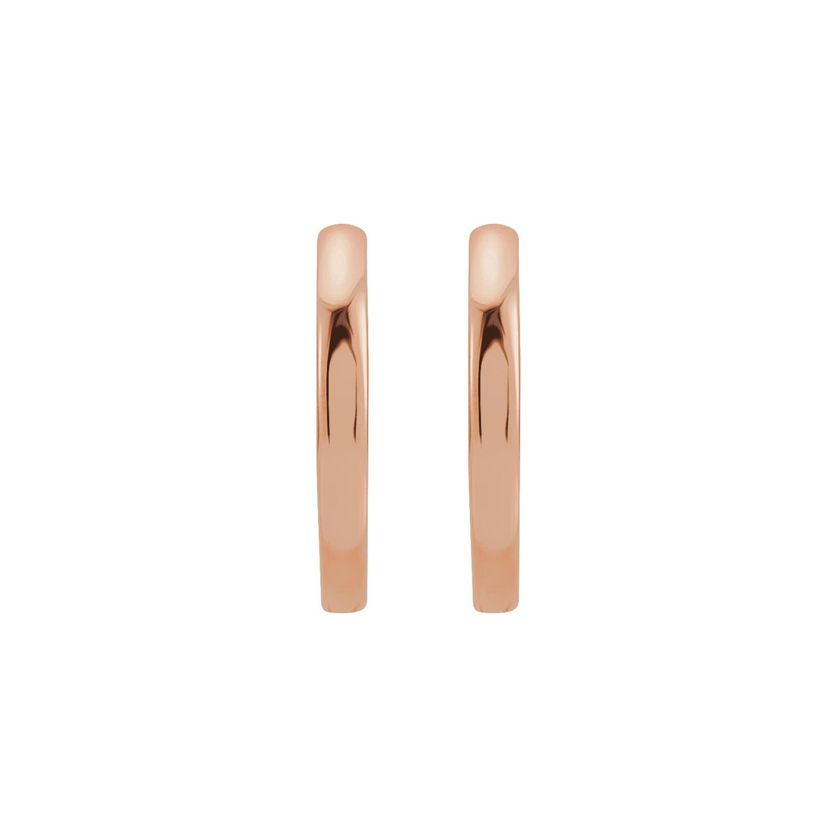 Hinged Hoop Earrings (87384)
