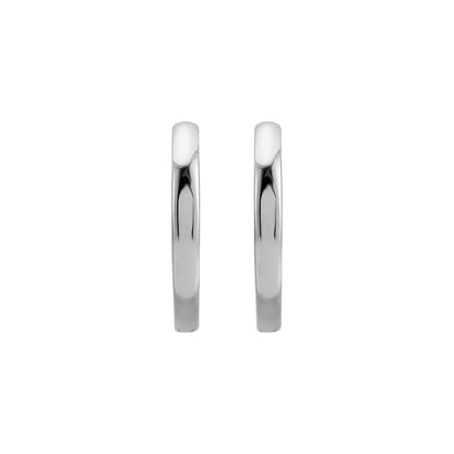 Hinged Hoop Earrings (87384)