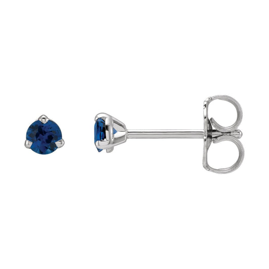 Natural Blue Sapphire Earrings (2000214)