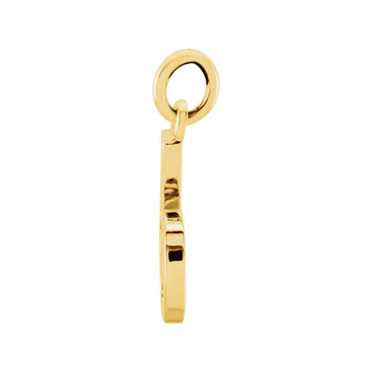 14K Yellow Gold Lowercase Initial b Charm/Pendant