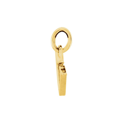 14K Yellow Gold Lowercase Initial v Charm/Pendant