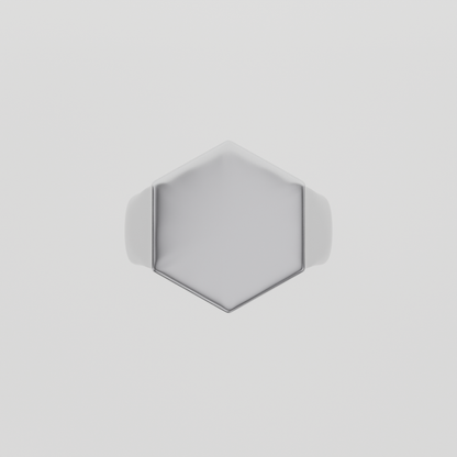 14K Gold Hexagon Signet Ring - White Gold - Flat