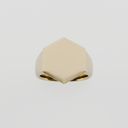 14K Gold Hexagon Signet Ring - Yellow Gold - Hero
