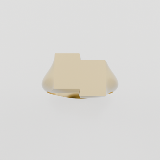 14K Gold Rectangular Signet Ring - Yellow Gold - Hero